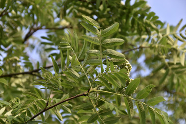 Similar image 21289148