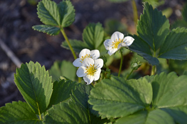 Similar image 21289150