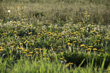 Similar image 21289266