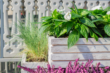 Similar image 21260244