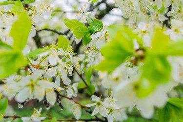 Similar image 21259336