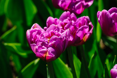 Similar image 21259380