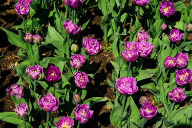 Similar image 21259381