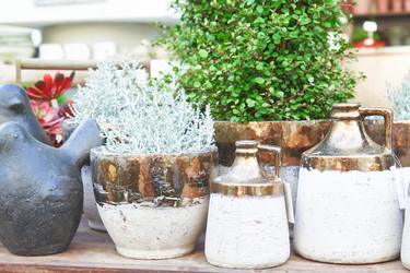 Similar image 21259877