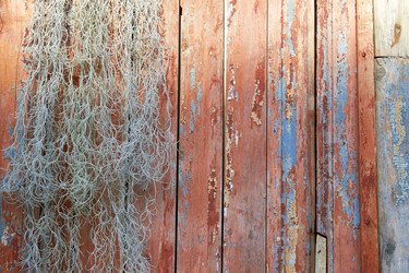 Similar image 21259878