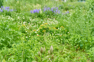 Similar image 21259918