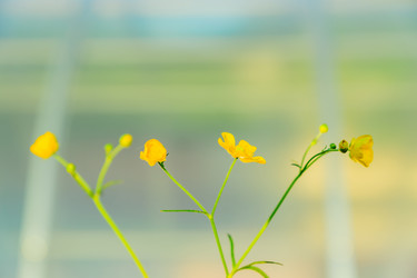 Similar image 21259942