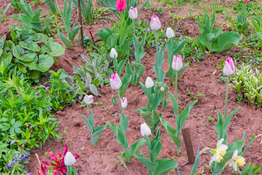 Similar image 21260147