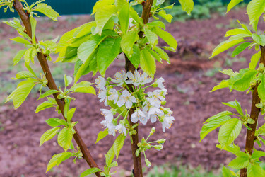 Similar image 21260148