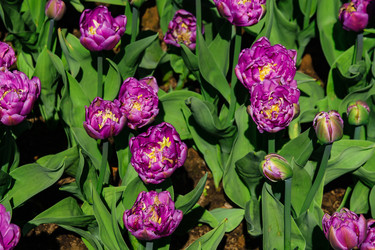 Similar image 21260259