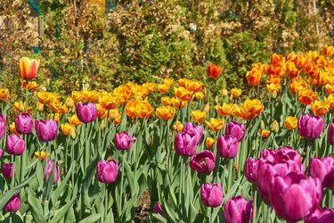 Similar image 21259387