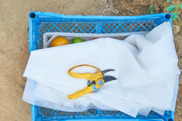 Similar image 21259717