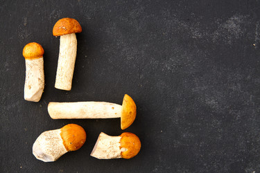 Similar image 21259719