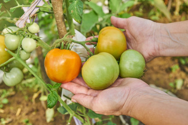 Similar image 21259883