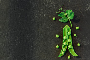 Similar image 21259923