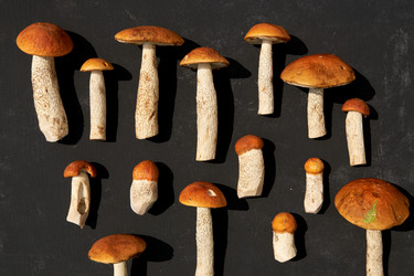 Similar image 21259943