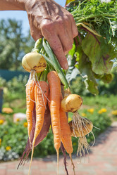 Similar image 21259944