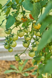 Similar image 21259945