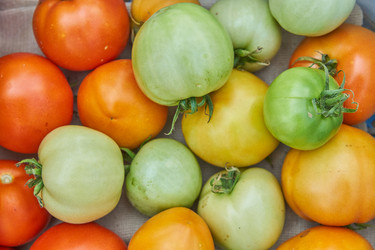 Similar image 21260272