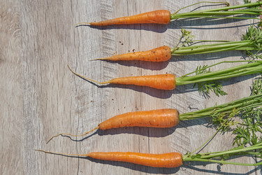 Similar image 21260273