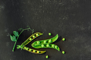 Similar image 21259402