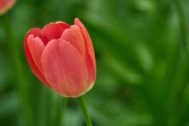 Similar image 21259404