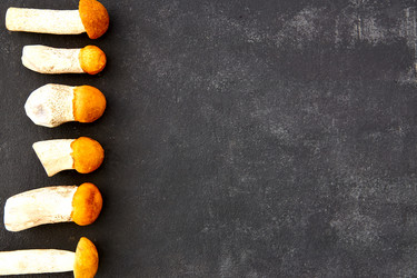 Similar image 21259412