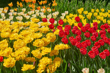 Similar image 21259946