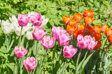 Similar image 21260155