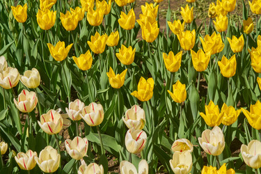 Similar image 21260156