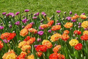 Similar image 21260157