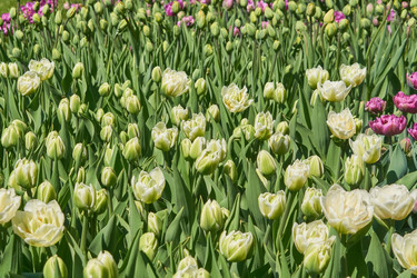 Similar image 21260160