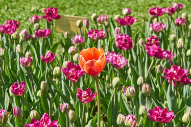 Similar image 21260275