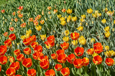 Similar image 21260277