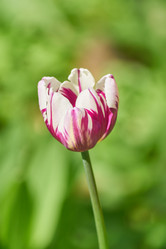 Similar image 21260278