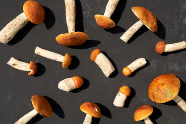 Similar image 21260281