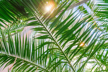 Similar image 21260165