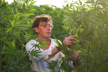 Similar image 21283883