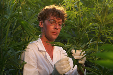 Similar image 21283884