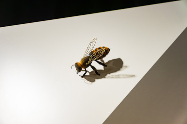 Similar image 21260298