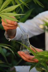 Similar image 21283886