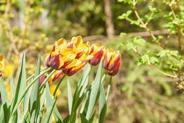 Similar image 21260306