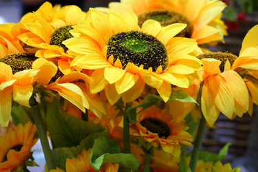 Similar image 21283887