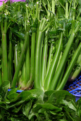 Similar image 21283890