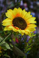 Similar image 21283891