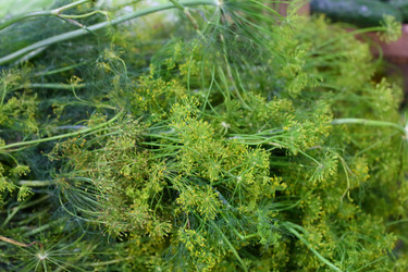 Similar image 21280839