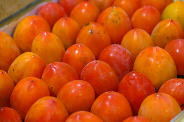 Similar image 21280841