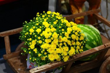 Similar image 21283894