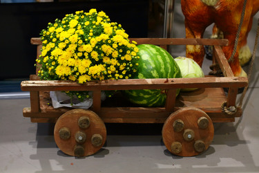 Similar image 21283895