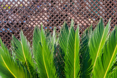 Similar image 21259728